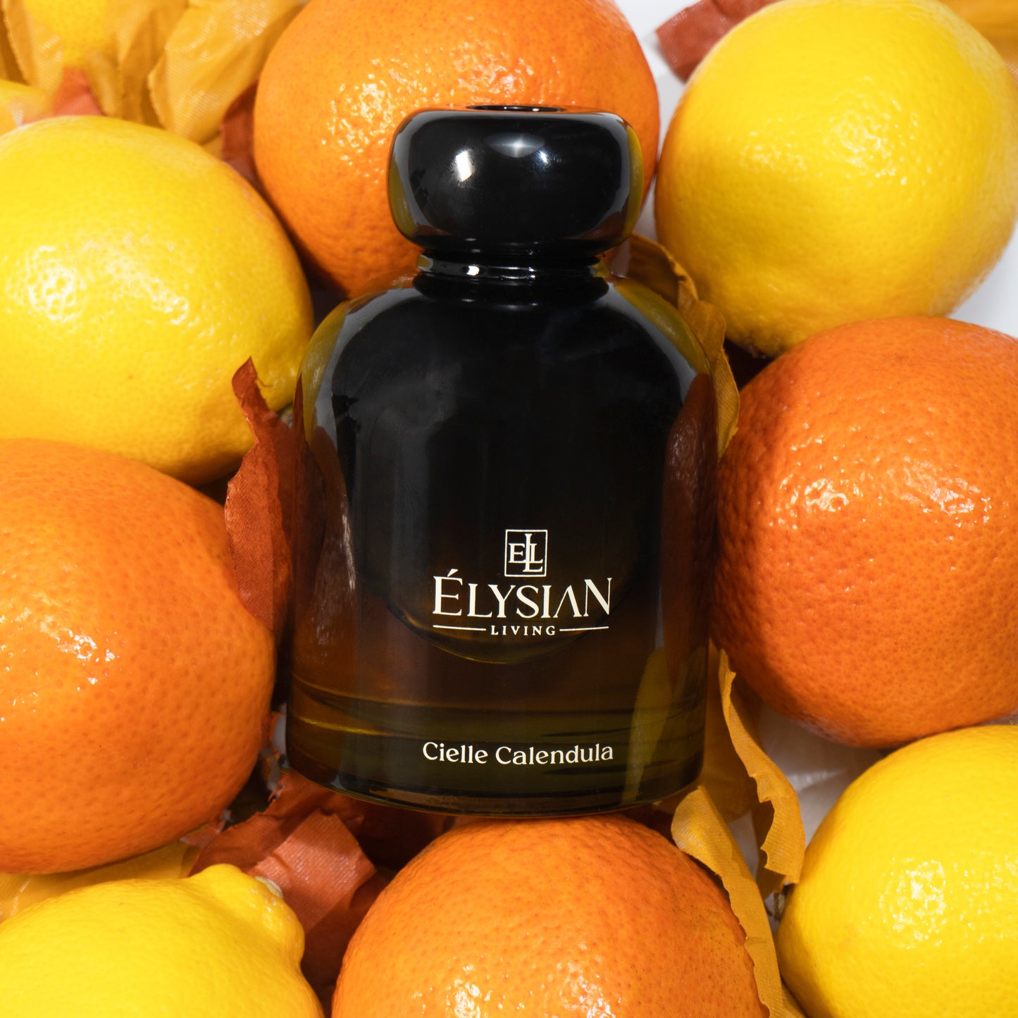 Cielle Calendula Diffuser