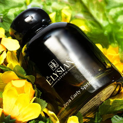 Zeya Early Spring Diffuser